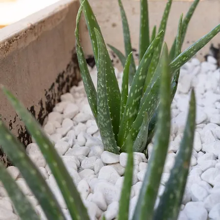 Summer Seaview Apartamento